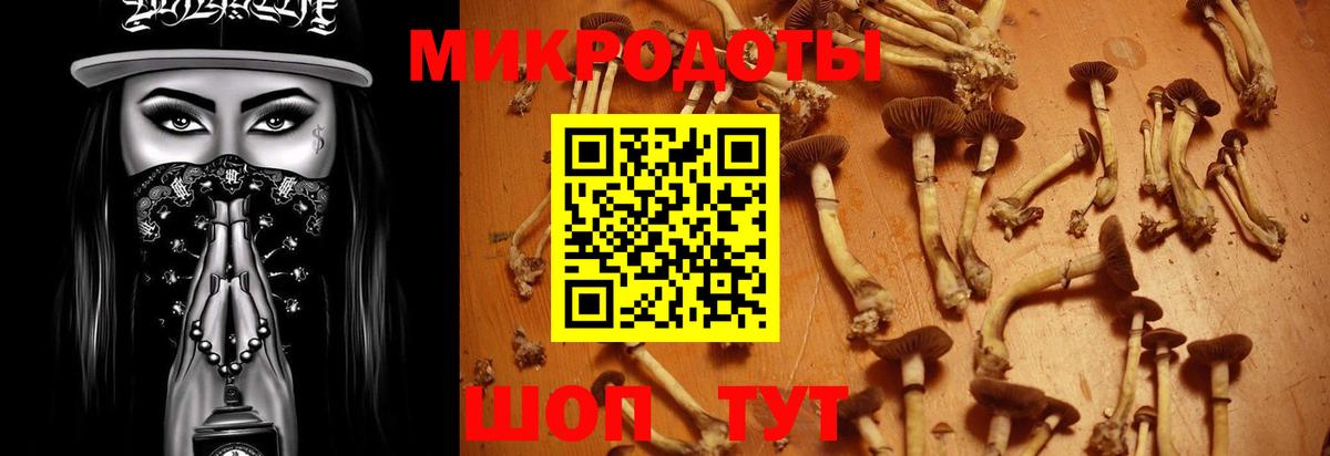 Галлюциногенные грибы GOLDEN TEACHER  Вход с VPN  Псилоцибиновые грибы GOLDEN TEACHER  Кумертау 